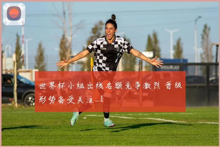 世界杯小组出线名额竞争激烈 晋级形势备受关注_1