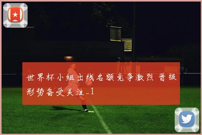 世界杯小组出线名额竞争激烈 晋级形势备受关注_1