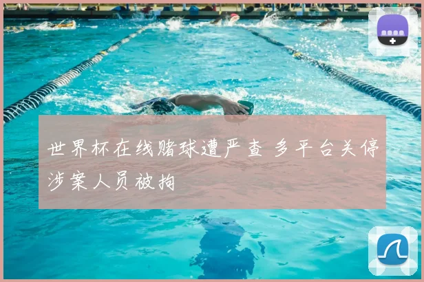 世界杯在线赌球遭严查 多平台关停涉案人员被拘